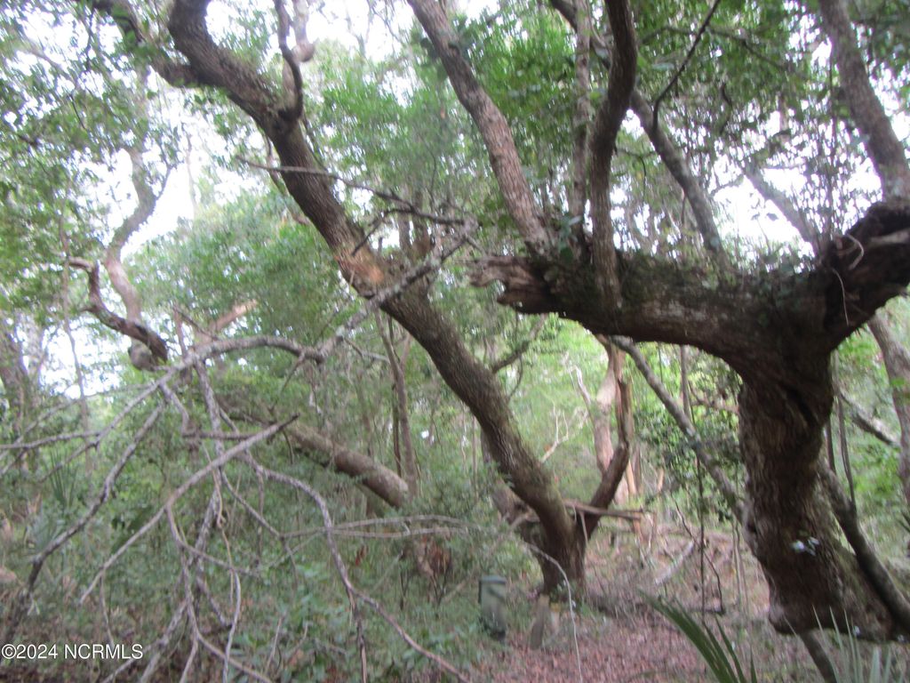 Photo of 8 Leopard Frog Court, Bald Head Island, NC 28461 (MLS # 100429794)