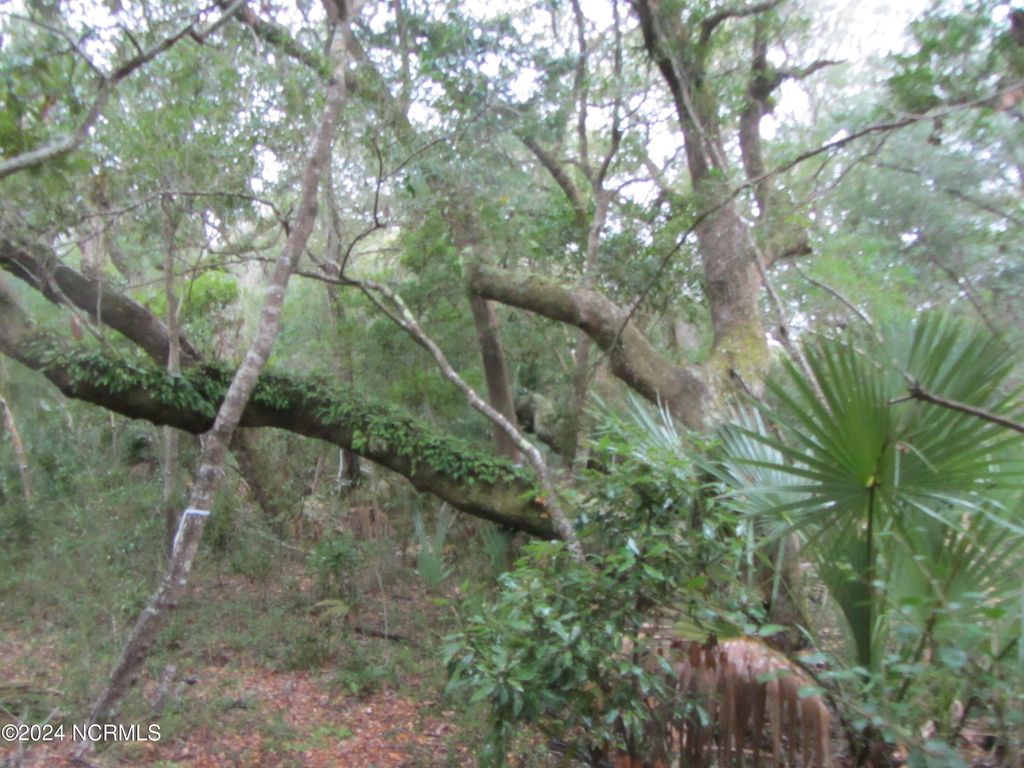 Photo of 8 Leopard Frog Court, Bald Head Island, NC 28461 (MLS # 100429794)