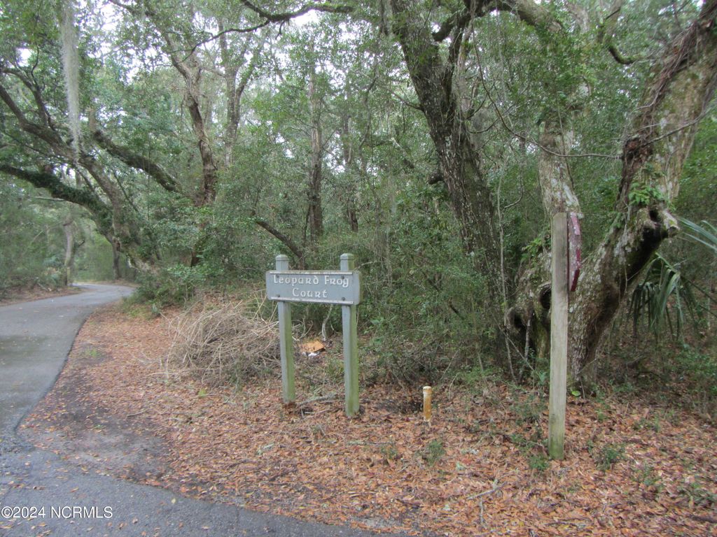 Photo of 8 Leopard Frog Court, Bald Head Island, NC 28461 (MLS # 100429794)