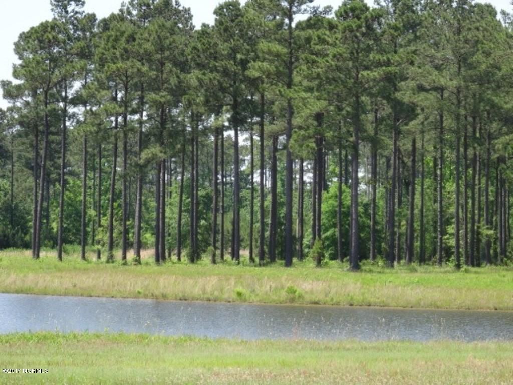 Photo for 4604 Indigo Lane, New Bern, NC 28562 (MLS # 100056807)