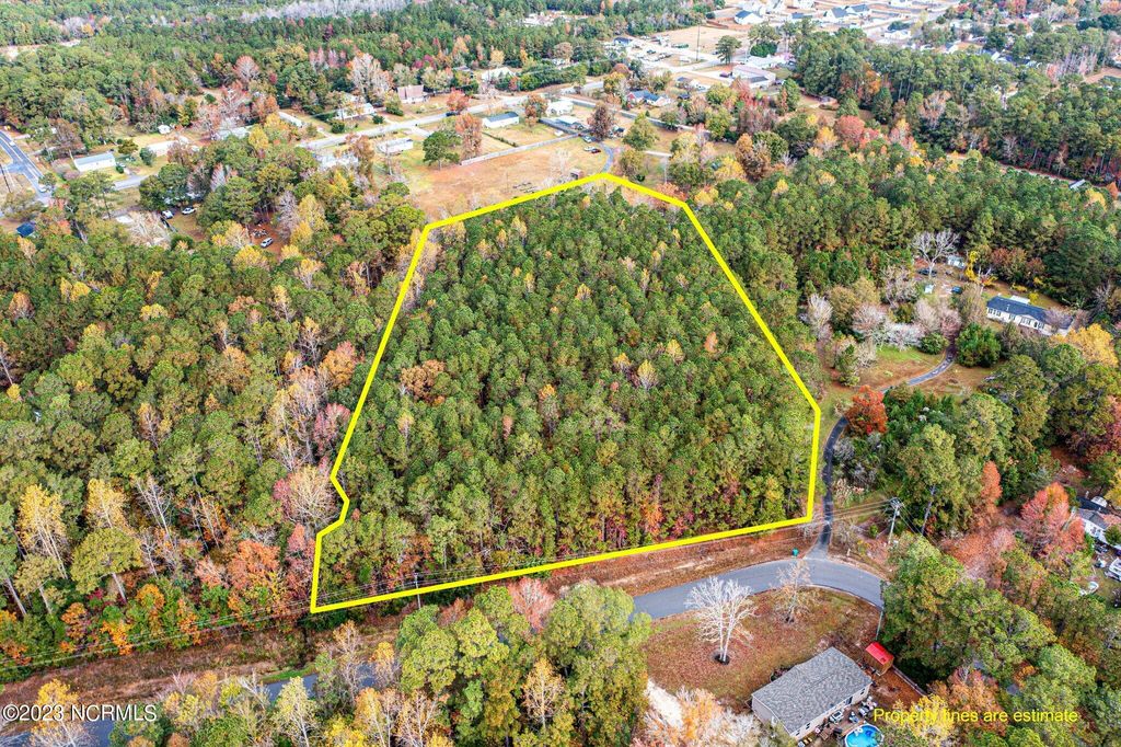 Photo of 131 Henson Road, Hubert, NC 28539 (MLS # 100415479)