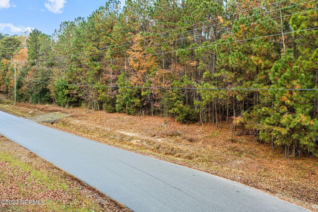 Photo of 131 Henson Road, Hubert, NC 28539 (MLS # 100415479)