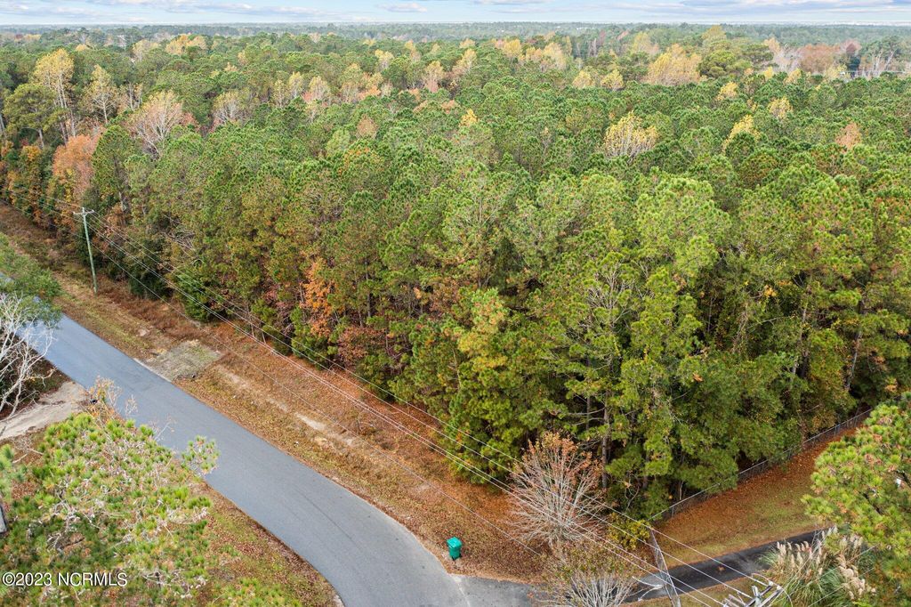 Photo of 131 Henson Road, Hubert, NC 28539 (MLS # 100415479)