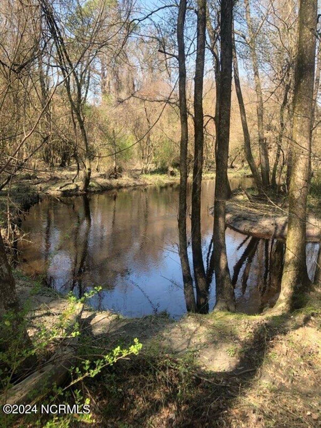 Photo of 200 Regalwood Drive, Jacksonville, NC 28546 (MLS # 100440416)