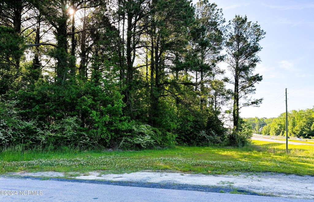 Photo of 200 Regalwood Drive, Jacksonville, NC 28546 (MLS # 100440416)