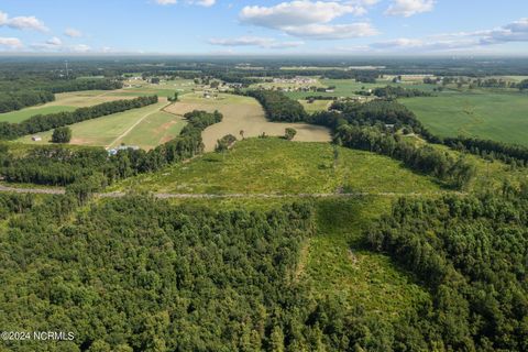 Agriculture in Goldsboro NC 667-C Loop Road 4.jpg