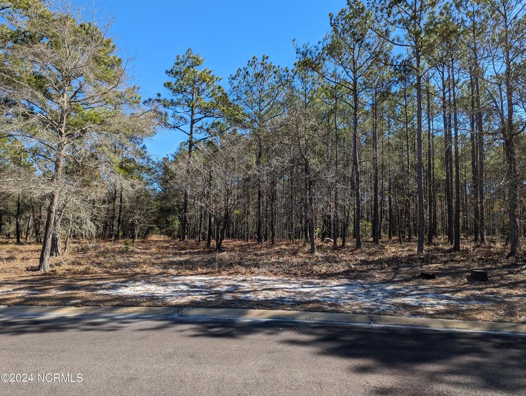 Photo for 578 Bendigo Passage Court SE, Bolivia, NC 28422 (MLS # 100428717)