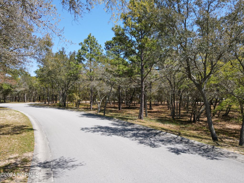 Photo of 637 Loreauville Drive SW, Supply, NC 28462 (MLS # 100437832)