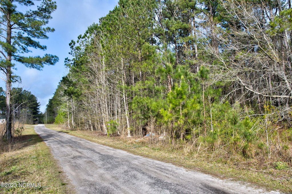 Photo of 5839 Sidbury Road, Castle Hayne, NC 28429 (MLS # 100376975)