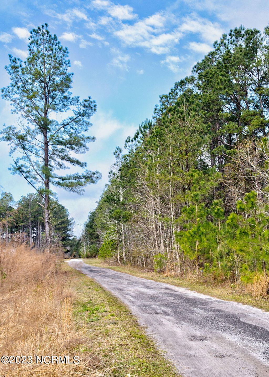 Photo of 5839 Sidbury Road, Castle Hayne, NC 28429 (MLS # 100376975)