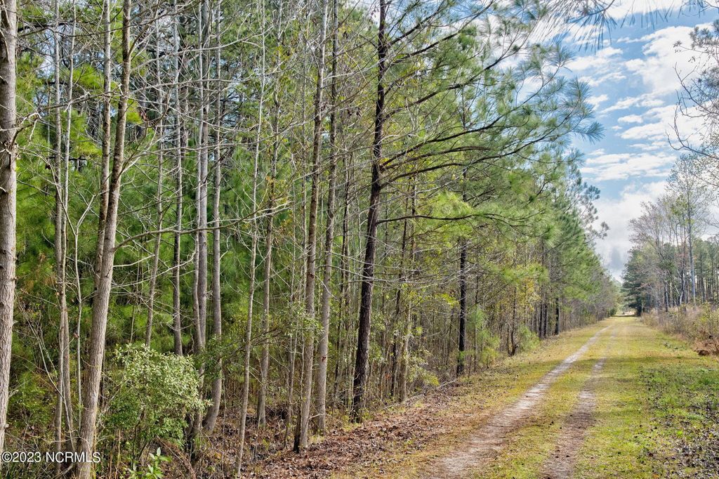 Photo of 5839 Sidbury Road, Castle Hayne, NC 28429 (MLS # 100376975)