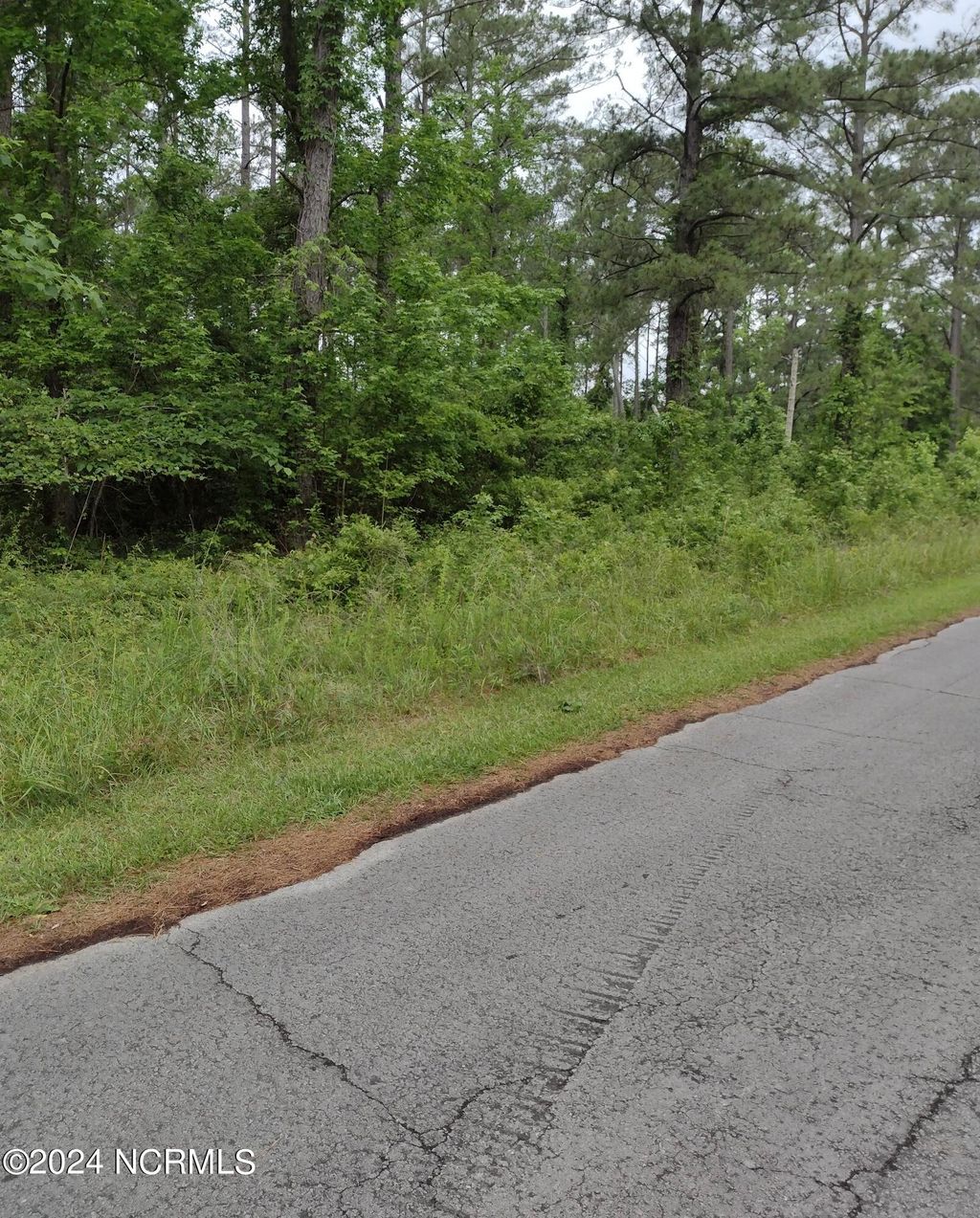 Photo of 118 Cedarwood Drive, Havelock, NC 28532 (MLS # 100444700)