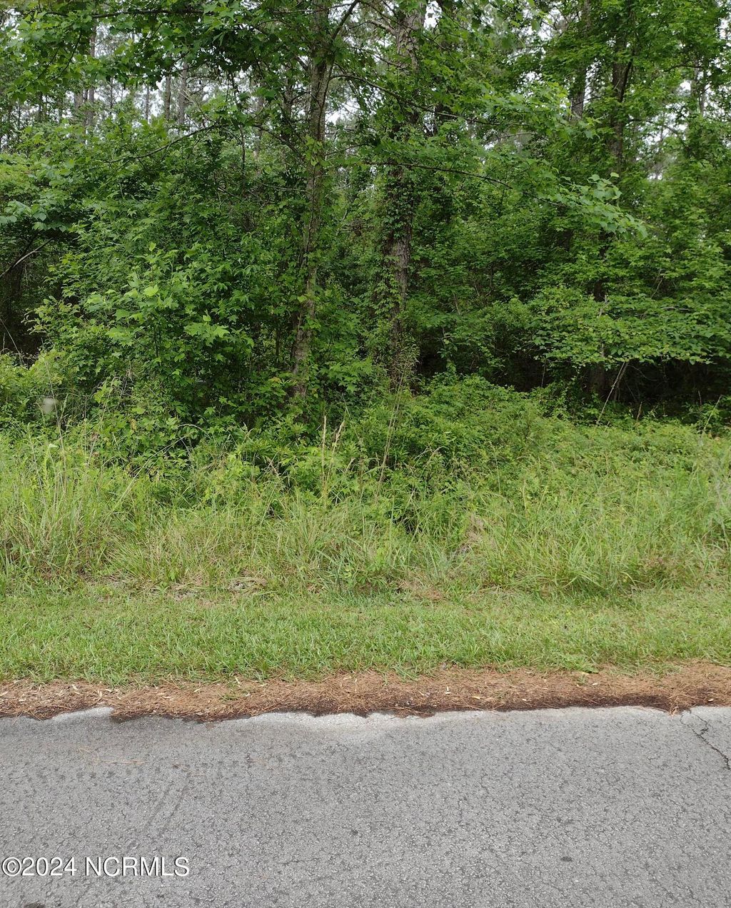 Photo of 118 Cedarwood Drive, Havelock, NC 28532 (MLS # 100444700)