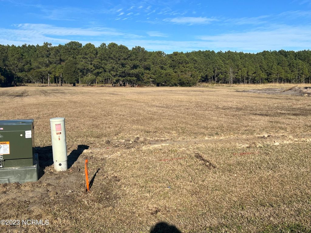 Photo of 69 W Dowry Creek West Creek, Belhaven, NC 27810 (MLS # 100416989)