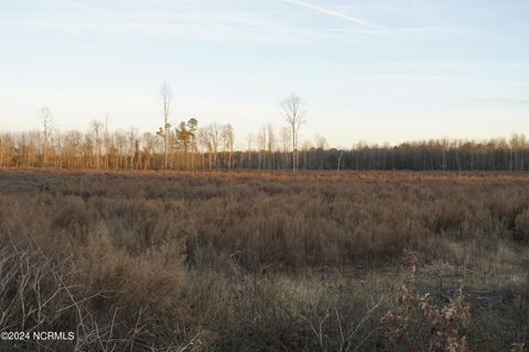 Agriculture in Goldsboro NC 667-B Loop Road 12.jpg