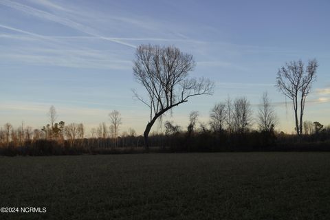 Agriculture in Goldsboro NC 667-B Loop Road 9.jpg