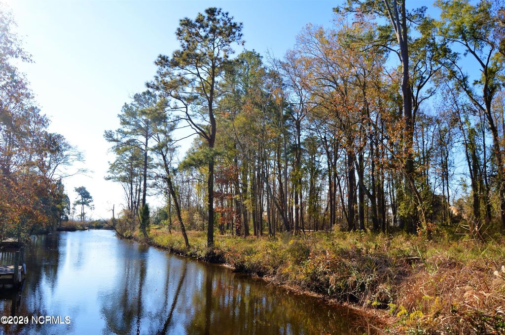 Photo of 115 Waterford Drive, Bath, NC 27808 (MLS # 100436316)