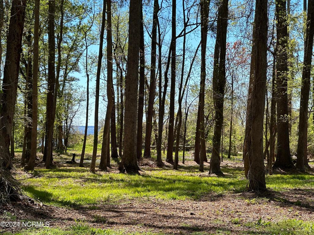 Photo of 115 Waterford Drive, Bath, NC 27808 (MLS # 100436316)