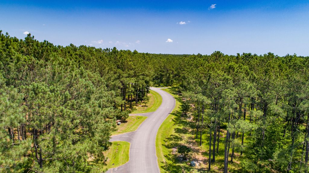 Photo of 66 Madison Avenue, Oriental, NC 28571 (MLS # 100351209)