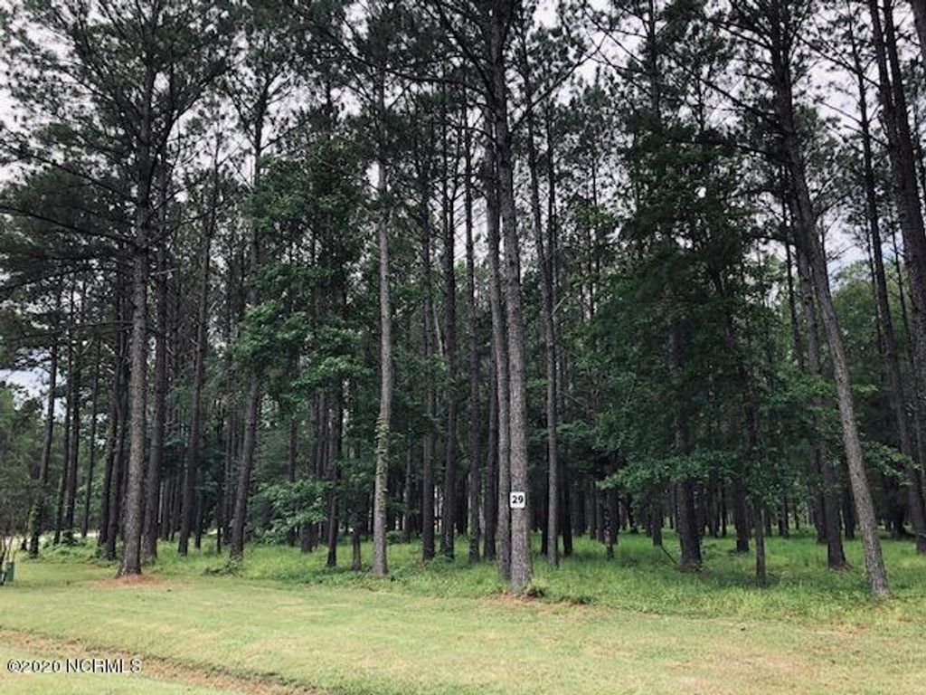 Photo of 66 Madison Avenue, Oriental, NC 28571 (MLS # 100351209)