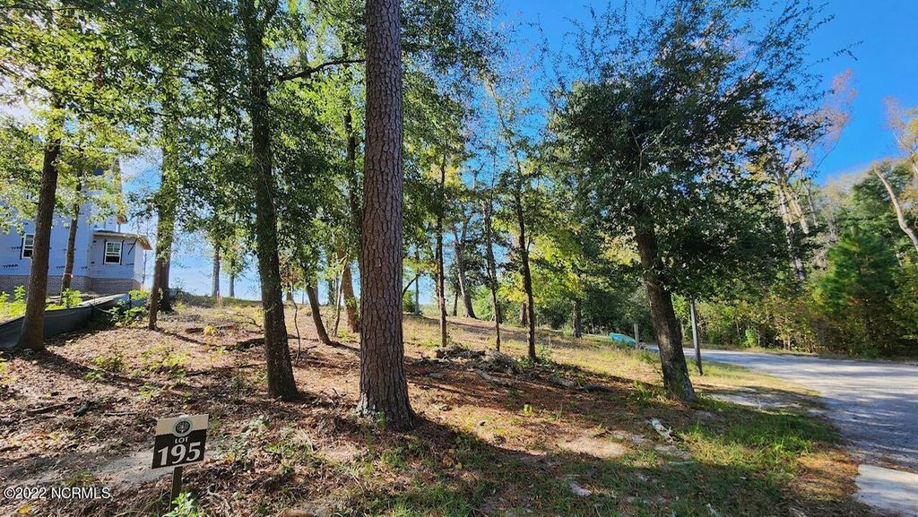 Photo of 3753 White Cliffs Drive, Castle Hayne, NC 28429 (MLS # 100417842)