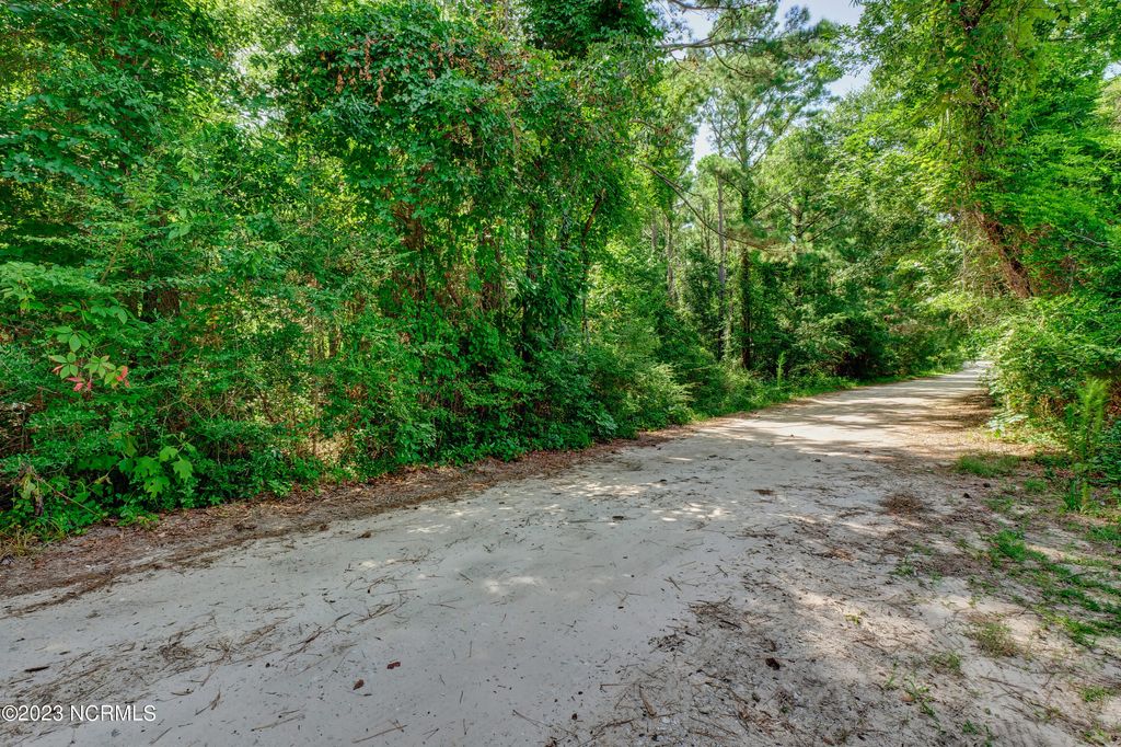 Photo of 118 Riley Lewis Road, Sneads Ferry, NC 28460 (MLS # 100396349)