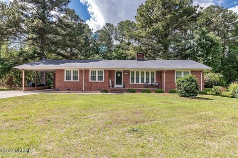 Single Family Residence in Pikeville NC 1421 Airport Road 7.jpg