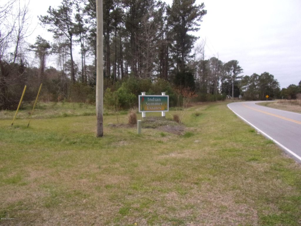 Photo of 115 Cartuca Trail, Beaufort, NC 28516 (MLS # 100328451)
