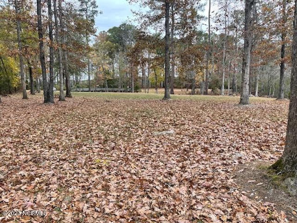 Photo of 97 Winfield Lane, Pinetown, NC 27865 (MLS # 100417500)