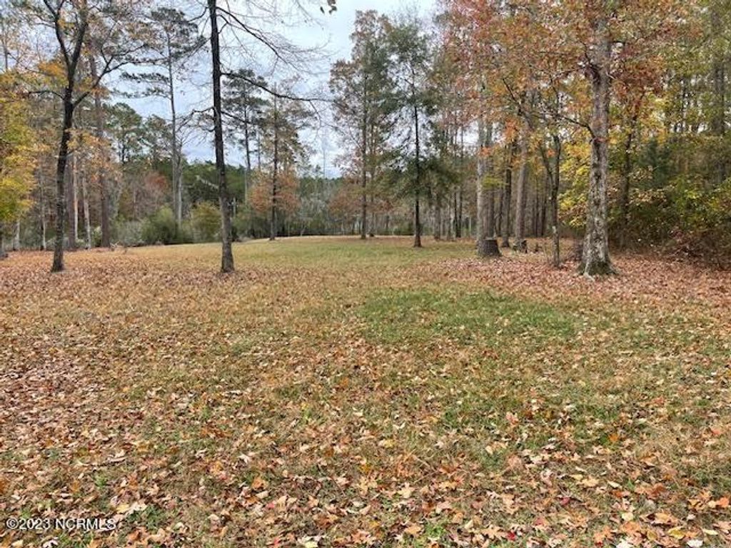 Photo of 97 Winfield Lane, Pinetown, NC 27865 (MLS # 100417500)