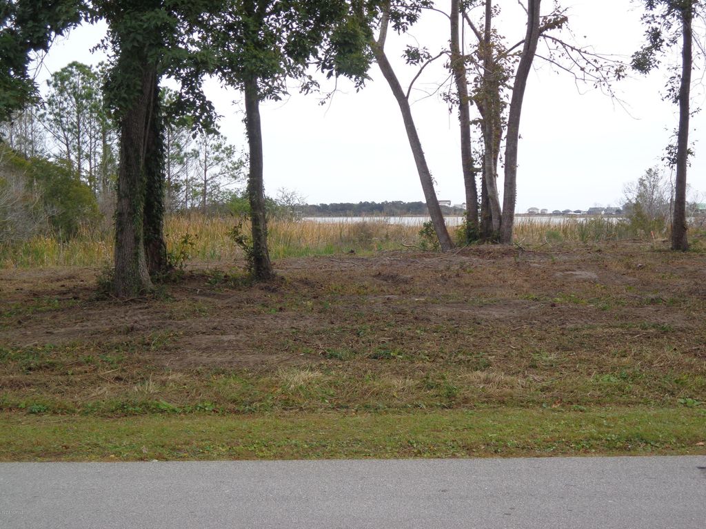 Photo of 1065 Chadwick Shores Drive, Sneads Ferry, NC 28460 (MLS # 100183720)