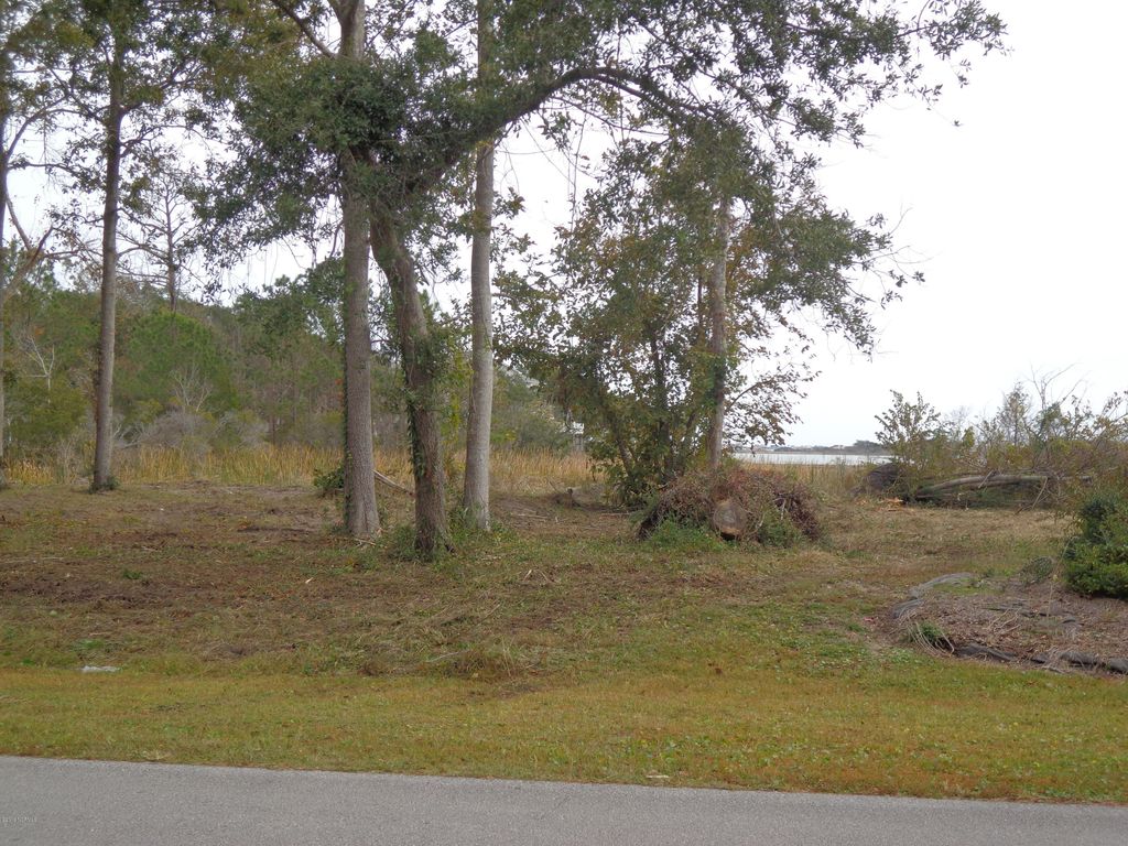 Photo of 1065 Chadwick Shores Drive, Sneads Ferry, NC 28460 (MLS # 100183720)
