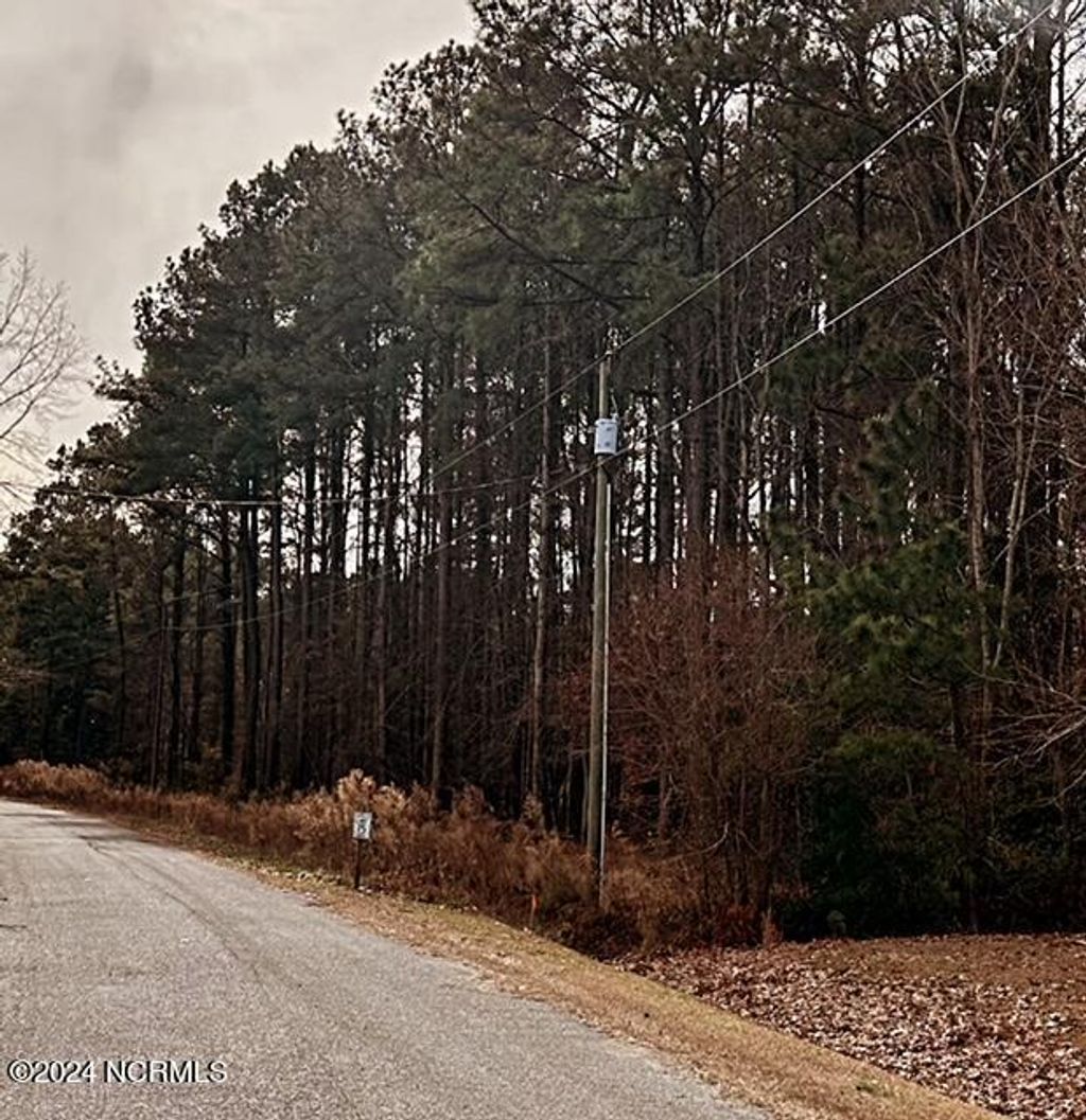 Photo of 3444 Berachah Road, Ayden, NC 28513 (MLS # 100421226)