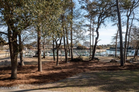 Featured picture for the property 100375359