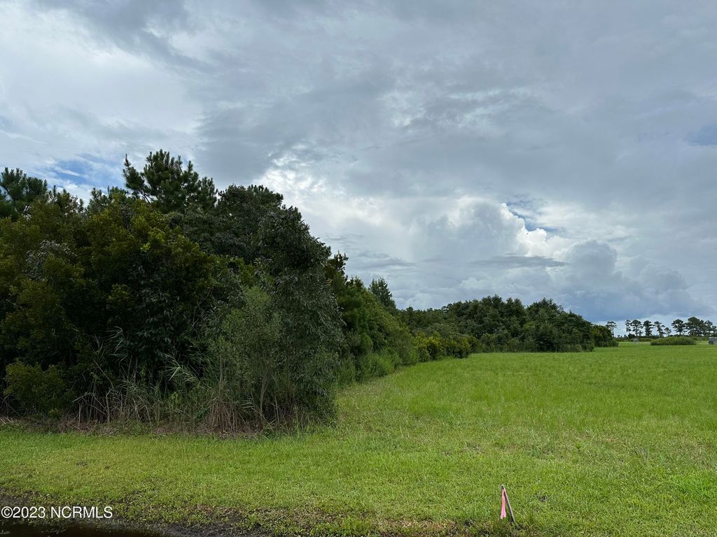 Photo of 11 Canal Drive, Belhaven, NC 27810 (MLS # 100441561)