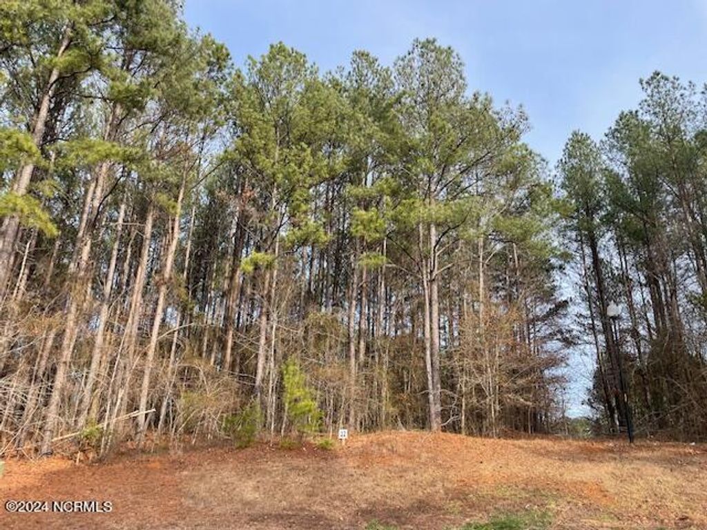 Photo of 3326 Oak Leaf Drive, Rocky Mount, NC 27804 (MLS # 100420475)