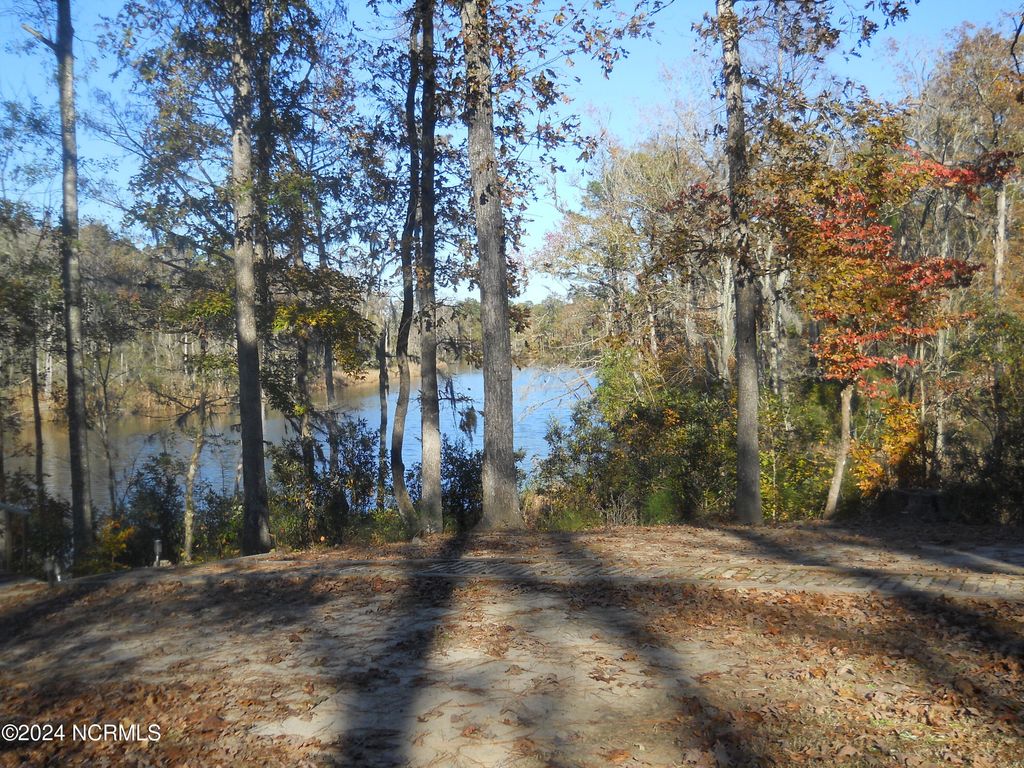 Photo of 49 Deep Creek Road, Chocowinity, NC 27817 (MLS # 100426506)