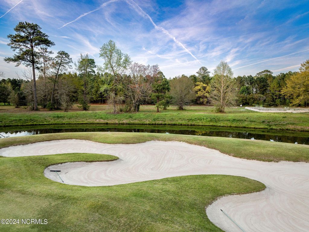 Photo of 142 Sycamore Forest Drive, Wallace, NC 28466 (MLS # 100436970)