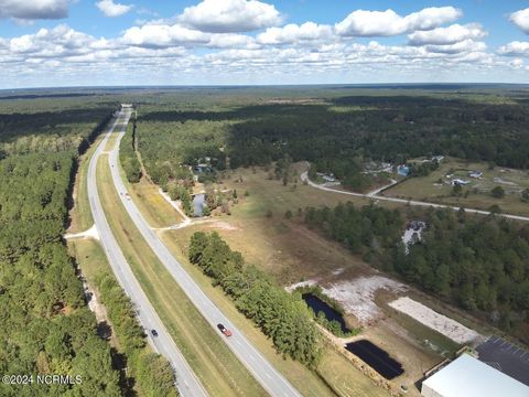 Farm in Currie NC 217 Trotters Lane.jpg