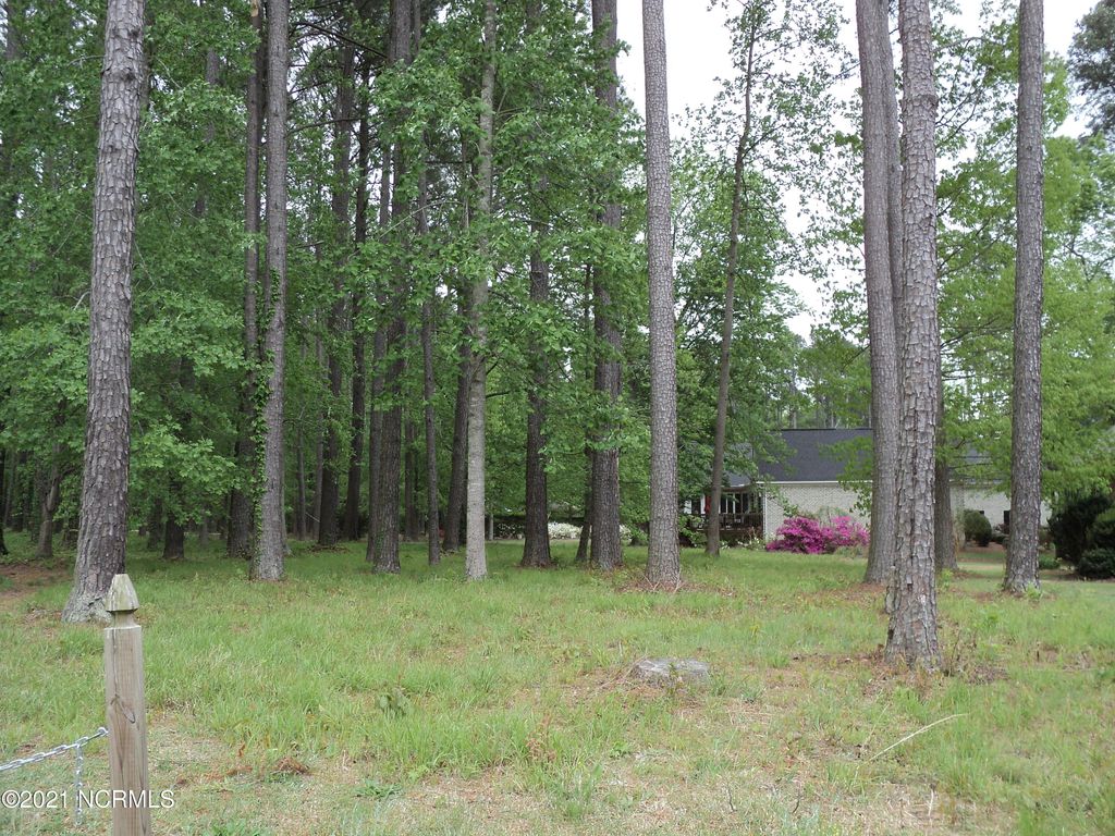 Photo of 53 W Fairway Drive, Washington, NC 27889 (MLS # 100273028)