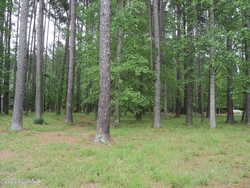 Photo of 53 W Fairway Drive, Washington, NC 27889 (MLS # 100273028)