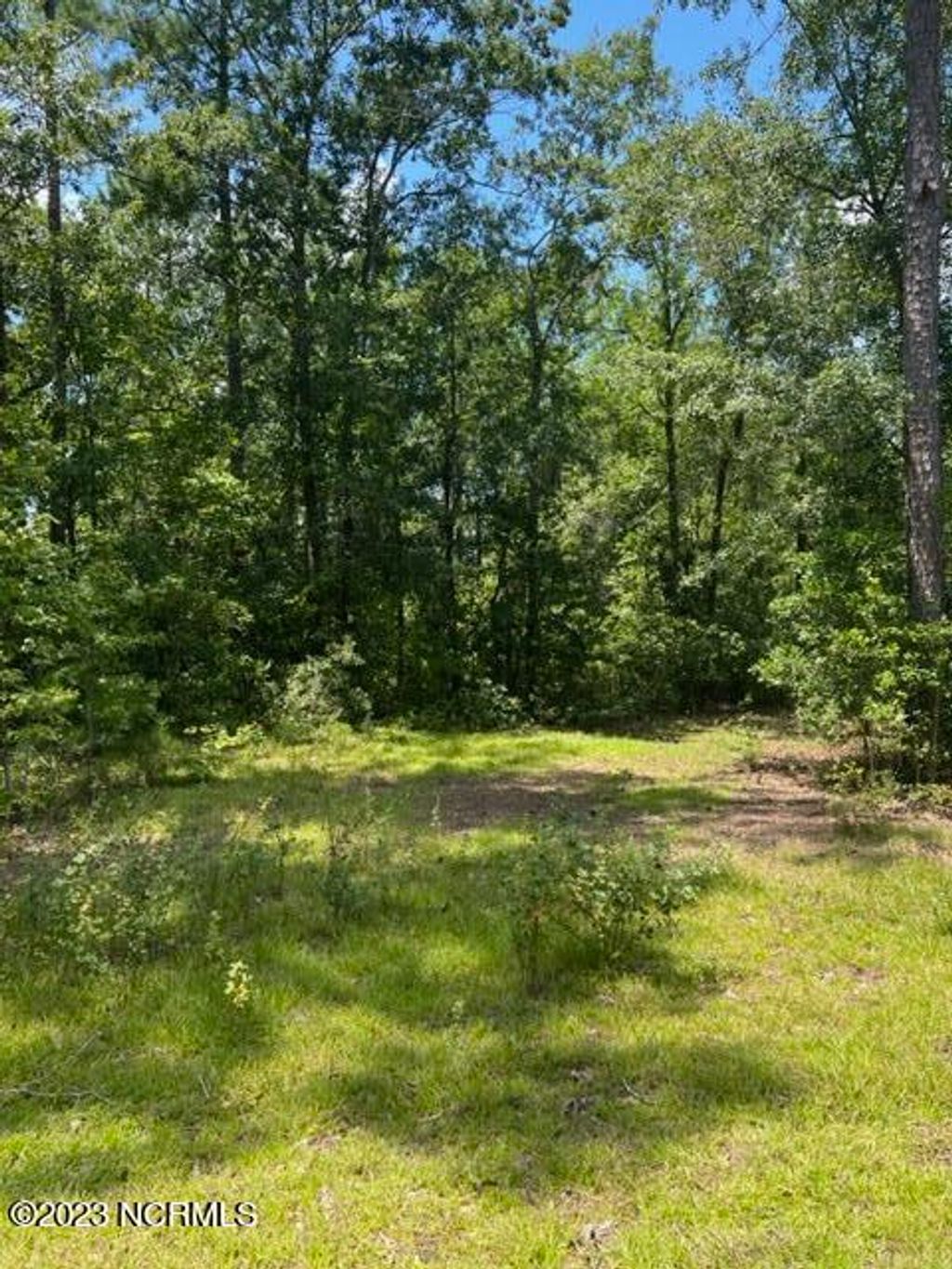 Photo of 6681 Mossey Run Drive NE, Leland, NC 28451 (MLS # 100397645)