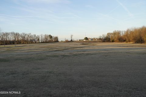 Single Family Residence in Goldsboro NC 667 Loop Road 90.jpg