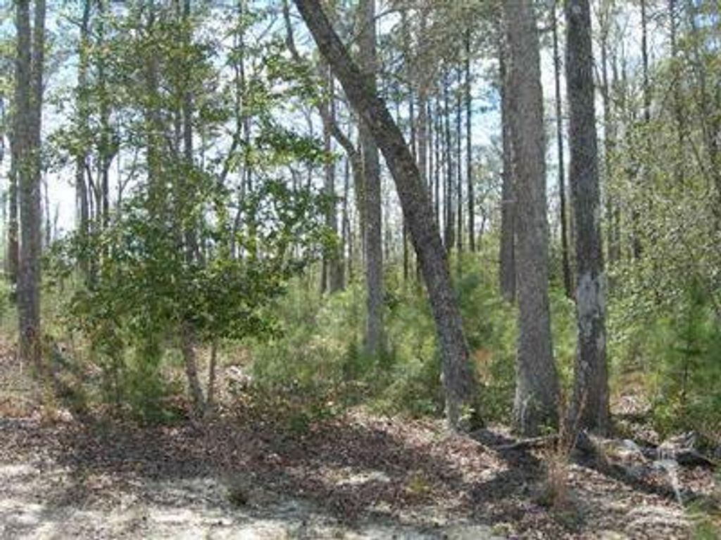 Photo of 632 Valverda Street SW, Supply, NC 28462 (MLS # 20656502)