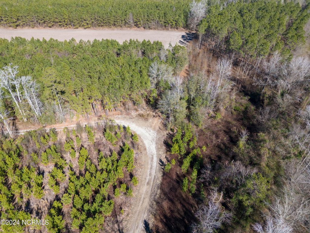 Photo of 00 Sykes Town Road, Currie, NC 28435 (MLS # 100424027)