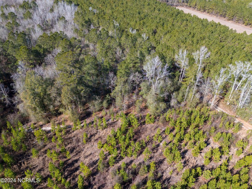 Photo of 00 Sykes Town Road, Currie, NC 28435 (MLS # 100424027)