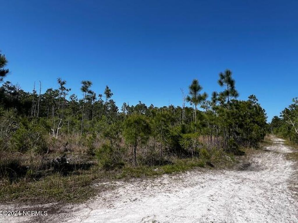 Photo of 81 Trevino Road, Boiling Spring Lakes, NC 28461 (MLS # 100441844)