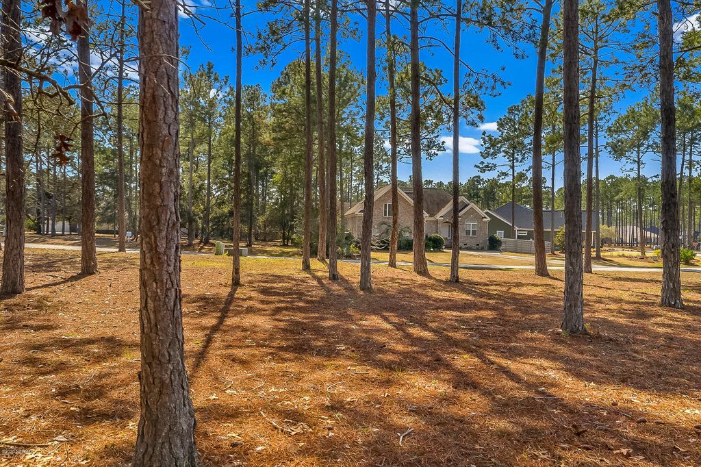 Photo of 135 Forest Walk SW, Sunset Beach, NC 28468 (MLS # 100205829)