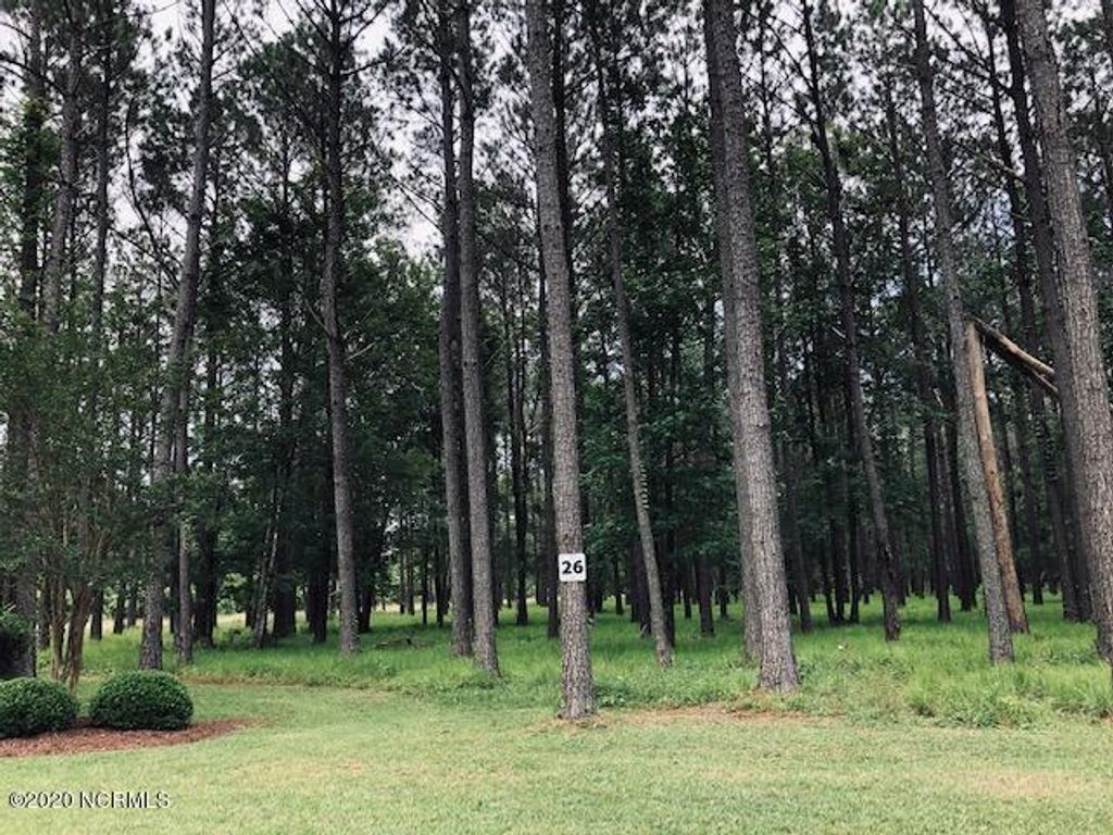 Photo of 29 Madison Avenue, Oriental, NC 28571 (MLS # 100351207)