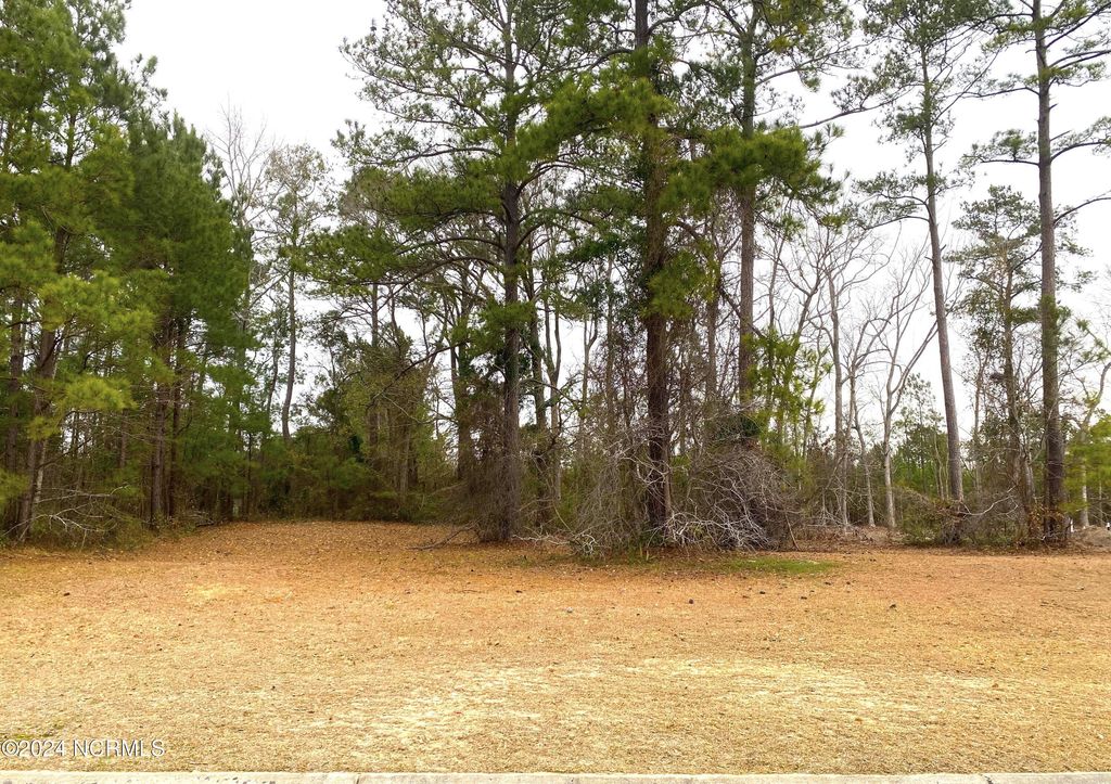 Photo for 1208 N Middleton Drive NW, Calabash, NC 28467 (MLS # 100429157)